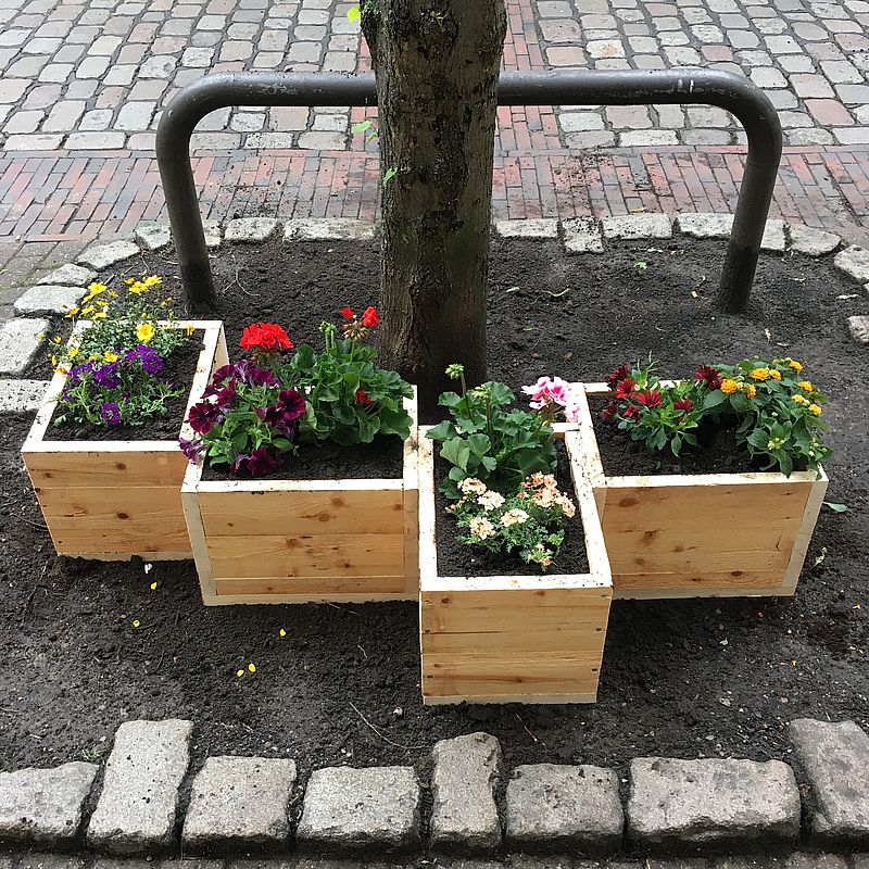 Pflanzkästen im Goethequartier und in der Hafenstraße