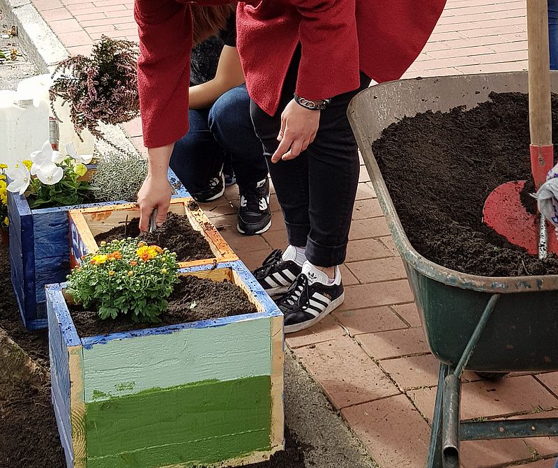 Pflanzkästen im Goethequartier und in der Hafenstraße