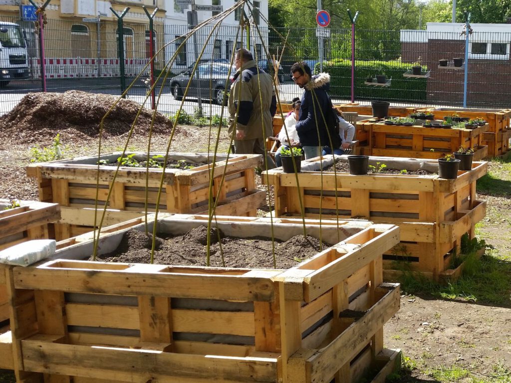 Es sind sechs neu bepflanzte Hochbeete im Gemeinschaftsgarten der Moschee zu sehen. Im Hintergrund befinden sich zwei Männer und zwei Kinder.
