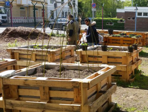 Es sind sechs neu bepflanzte Hochbeete im Gemeinschaftsgarten der Moschee zu sehen. Im Hintergrund befinden sich zwei Männer und zwei Kinder.