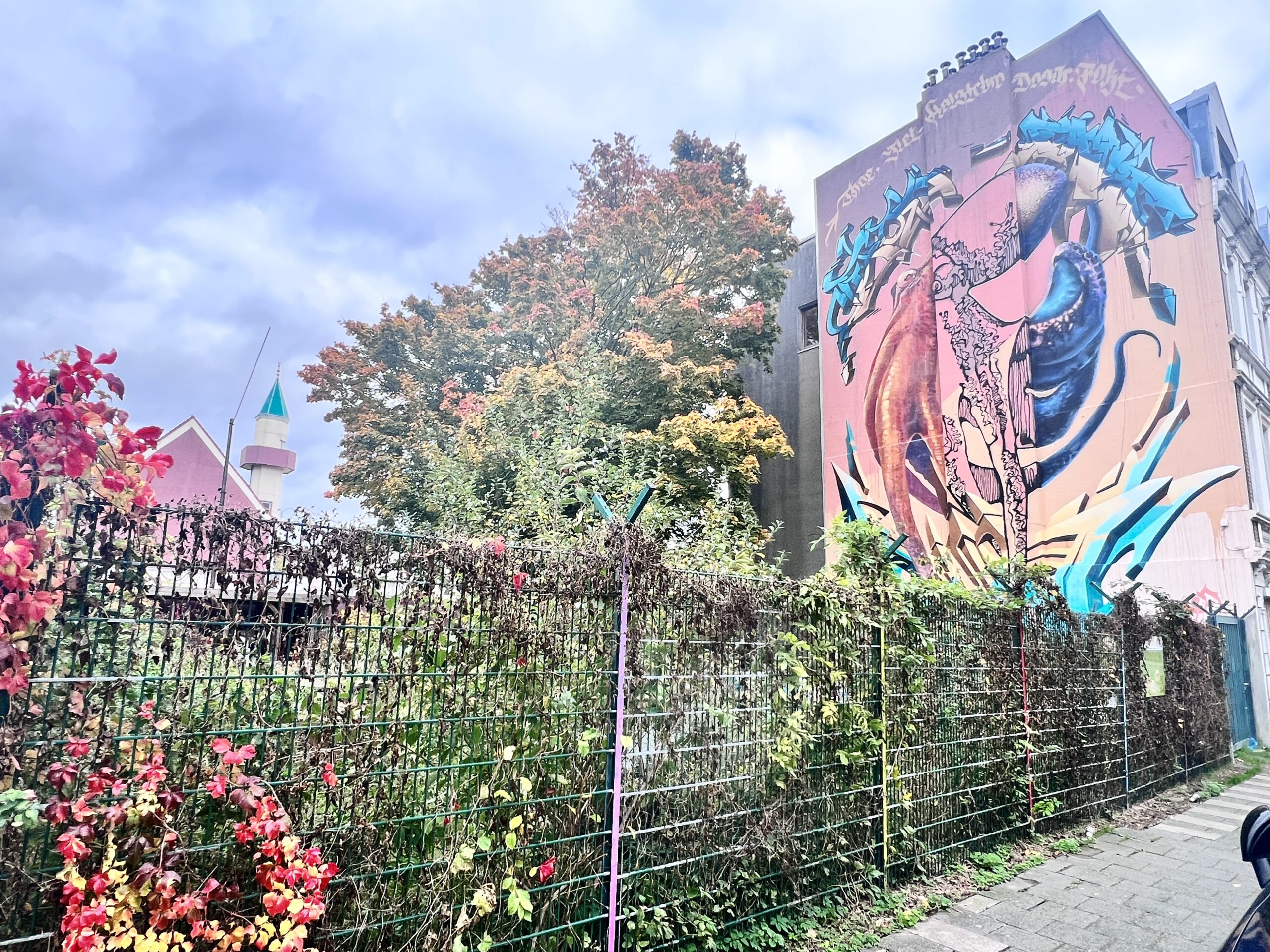 Bunte Hauswand im Goetheviertel Bremerhaven Lehes. Davor befindet sich ein begrünter Zaun.