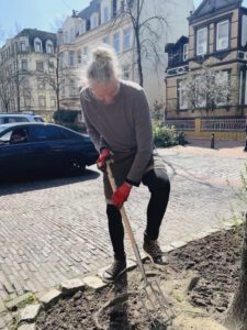 Mann lockert mit einer Gartenforke die Erde an einer Baumscheibe im Goetheviertel.