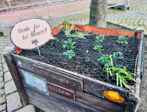 Hochbeet aus Holz wurde mit einem Draht überspannt. In der Erde des Hochbeets wurde ein Pappschild mit der Aufschrift „Danke für die Blumen!“ gesteckt.