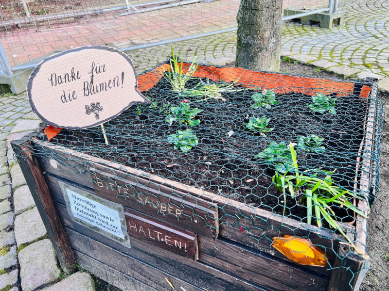 Hochbeet aus Holz wurde mit einem Draht überspannt. In der Erde des Hochbeets wurde ein Pappschild mit der Aufschrift „Danke für die Blumen!“ gesteckt.