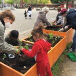 Anwohnende bepflanzen mit Kindern Hochbeete auf dem Leher Pausenhof. Im Hintergrund spielen Kinder.