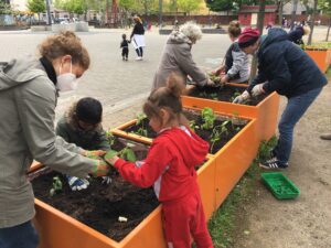 Anwohnende bepflanzen mit Kindern Hochbeete auf dem Leher Pausenhof. Im Hintergrund spielen Kinder.