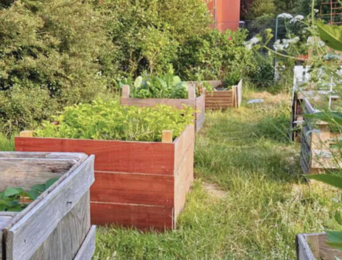 Mehrere bepflanzte Hochbette in grüner Kulisse