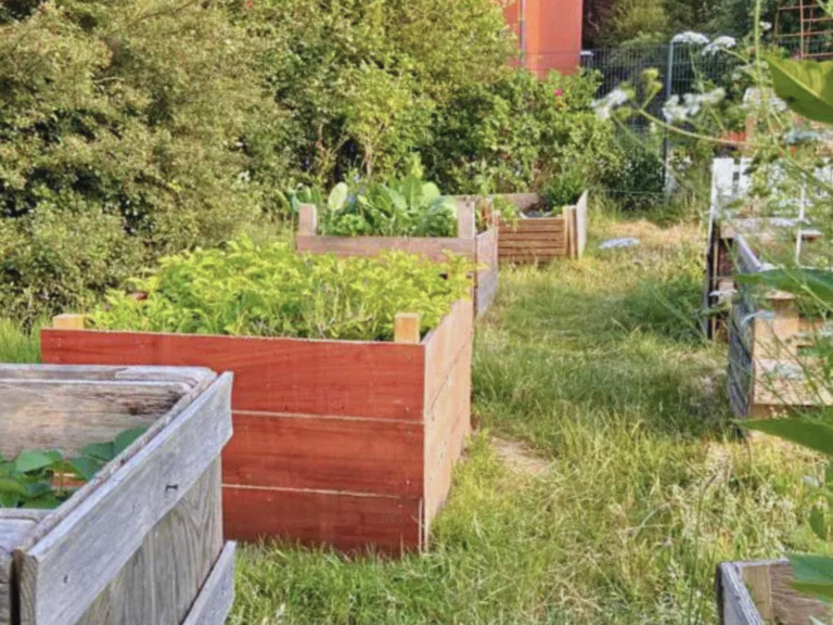 Mehrere bepflanzte Hochbette in grüner Kulisse