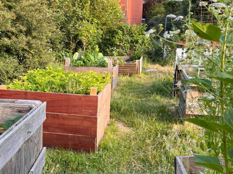 Bepflanzte Hochbeete auf dem Zolli in Bremerhaven Lehe.