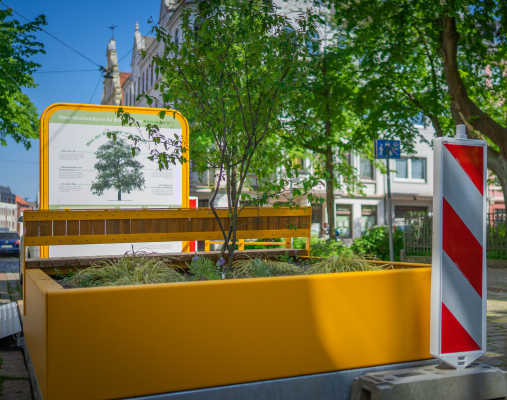 Baumpflanzungen werden über Parklet mitgeteilt