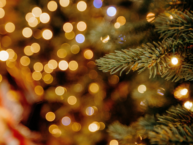 verschwommene Lichter und ein Tannenzweig