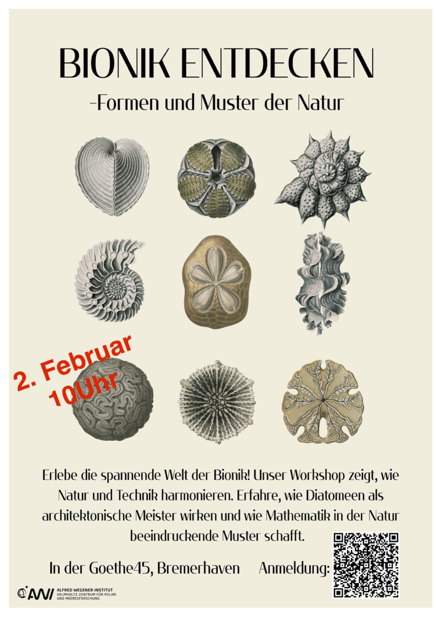 Werbeplakat vom Bionikpavillon