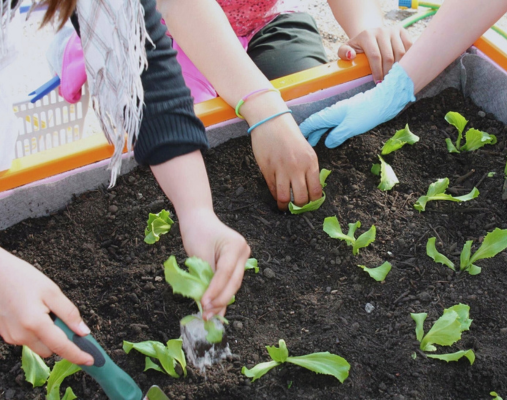 Veranstaltungskalender Awi Bionik